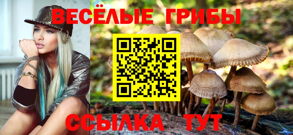 Галлюциногенные грибы MAGIC MUSHROOMS Саратов