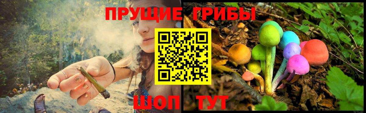 Псилоцибиновые грибы Magic Shrooms  как найти наркотики  Вход с VPN  Саратов  Псилоцибиновые грибы MAGIC MUSHROOMS 